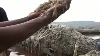 Uganda - Salt deposit in Katwe