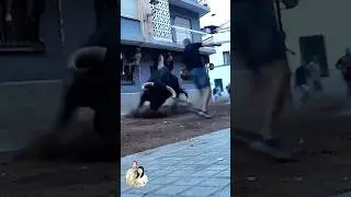 Pasi&oacute;n por los toros