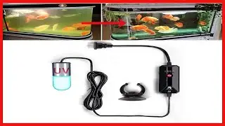 Mini 3W UVC Timer Aquarium UV Clean Light Algae Clear Fish Tank UV Water Clean Lamp Green Bloom