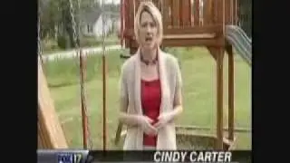 Rep. Debra Maggart discusses child sexual offenders on WZTV