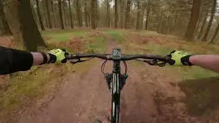 Rowberrow Warren North East Trails