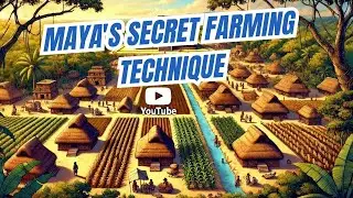 The Secret Farming Techniques Behind the Glorious Maya Empire