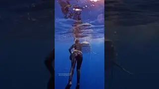 NEVER splash or run away from a shark 📷mermaid.kayleigh #shark #sharkbite #tigershark #sharkattack