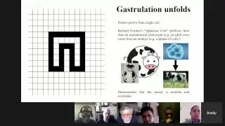 OpenWorm Journal Club: How A Worm Develops