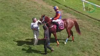 BTC RACE DAY 17TH JAN 2026   RACE 1