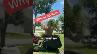 I scalped my lawn