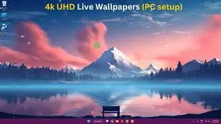 Set Up 4k UHD Live Wallpapers on PC (Easy & Free!)
