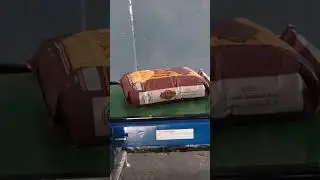 Check Weighing With Truck Loading conveyor.