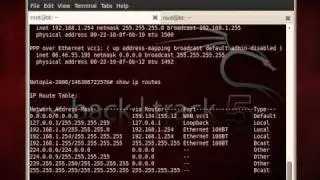 Owning the Netopia Router