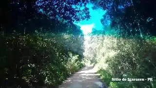 Sítio Monjope - IgarassuPE