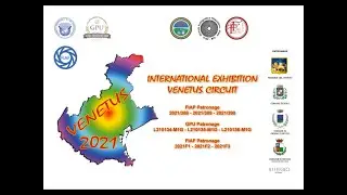 Venetus 2021 5 - Accepted NATURE
