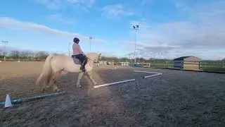 Lynn Carter,Abbeyvale Golden Rose, E-Riders Novice 3f, January 2026.  Solent Riding Club. 