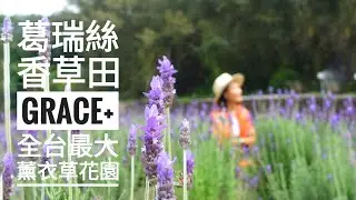 葛瑞絲香草田賞花一日遊攻略 【廣播專訪】》全台灣最大的薰衣草花園@苗栗頭屋明德水庫附近，花期三到五月，免費入園｜一鳴Amazing賞花秘境推薦