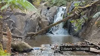 2 Hrs Forest Waterfall Sounds (No Music) &ndash; Relaxing 4K Nature Ambience for Sleep & Meditation