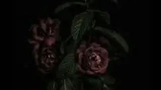 David Renda - Fallen Petals (From The Analog Horror Series Angel Hare)