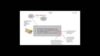 Reserve Bank Of India: Working and Functions
