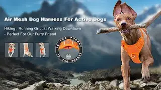 No Pull Dog Harness Front Clip Heavy Duty Reflective Easy Control Handle for Large Dog Walking