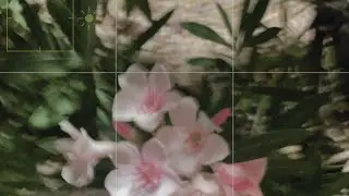 + it all worked out perfectly (relaxing reiki session)