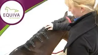 Fit fürs Turnier: Mähne einnähen - so geht's!
