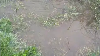 Flooding on proposed Bowral South Development site after 2 days light rain