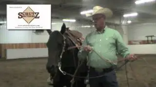 Clark Bradley's CB Training Rein