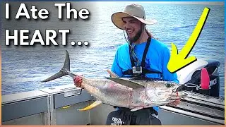GIANT YELLOWFIN TUNA & SWORDFISH | Fishing Louisiana