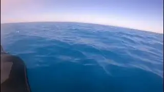 pesca traina Donnalucata (RG) 07/08/21, gommone ozeam 360, Honda 5 ho 4t
