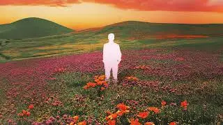 Man With Roses - Lido (Remastered) (Official Audio)