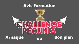 Avis : Challenge P&eacute;cunia de Ecom French Touch - Formation Affiliation