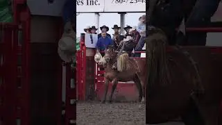 Sometimes you just wanna take a day off 😅 #wrangler #rodeo #cowboy #funnyvideo