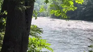 Camping in Phoenicia by the Esopus Creek!