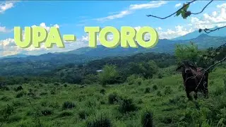 Toros y Paisajes: Caminando por Upatoro LA FINCONA.