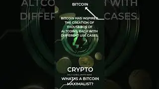 What is a Bitcoin Maximalist? #BitcoinMaximalist #Crypto #Altcoins #cryptotrends2024