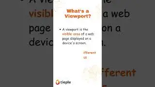 What is a Viewport?