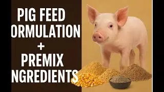 🧪 &ldquo;Pig Nutrition 101: What&rsquo;s Inside a Perfect Pig Feed and Premix Blend