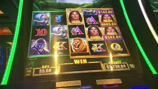 TARZAN GRAND SLOT MACHINE: Max bet live play