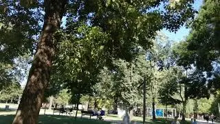 Tasmajdan park Beograd