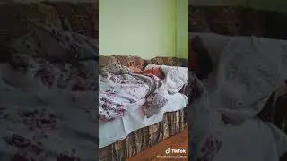 Вредный ребюнок