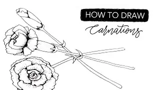 How To DRAW January&rsquo;s Birth Month Flower: The Carnation