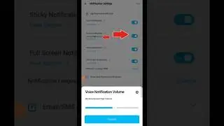 How to on voice notification in Paytm business Account