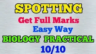 #Boards How to Score Full Marks in Biology Practicals Spotting (EASY WAY)