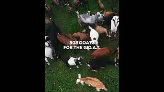 Lionel Messi ● All 808 Goals in Career ● With Commentaries | Goat messi | @abusayeedvlog0.1