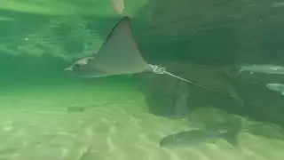 VGP Marine Kingdom Chennai