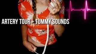 Body Artery Tour + Tummy Sounds [ASMR]