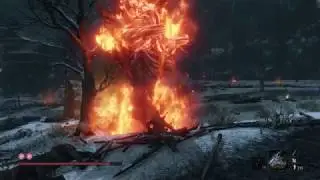 Sekiro : Demon of Hatred / D&eacute;mon de la haine - NG+ 1st try Boss fight