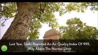 Tree Plantation Drive | #DrivingSmiles