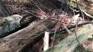 Water Supply Fail
