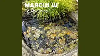 Do My Thing