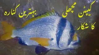 Sonehra fishing! Sonehra beach! Manjhar beach
