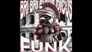Bri Bri Bicus Dicus FUNK
